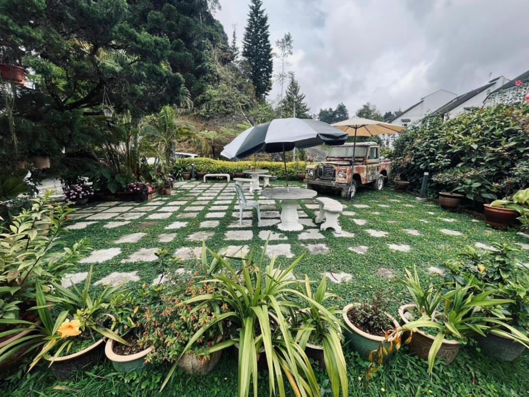Big Dreams Garden Stay Tanah Rata Εξωτερικό φωτογραφία